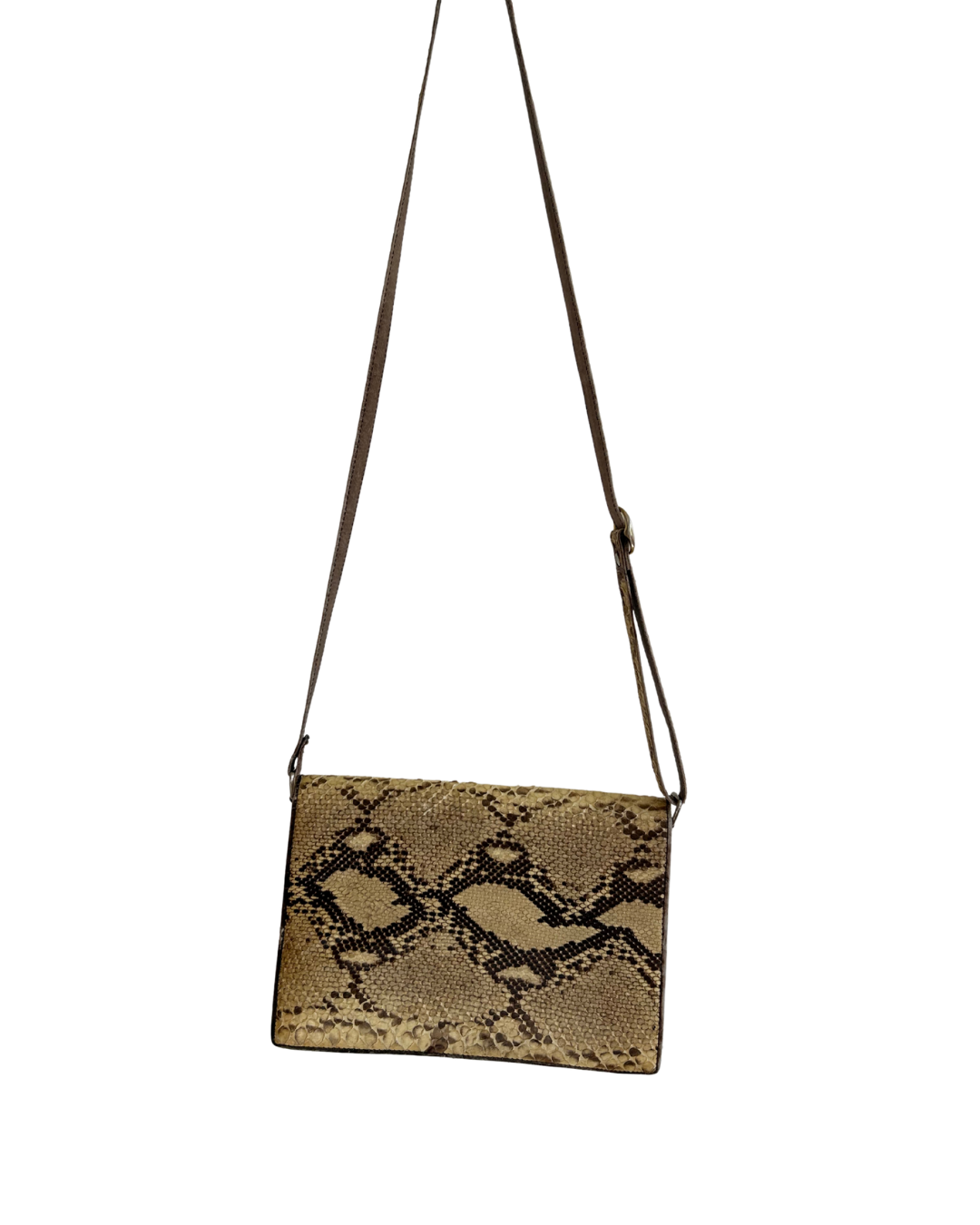 THE SNAKESKIN BAG