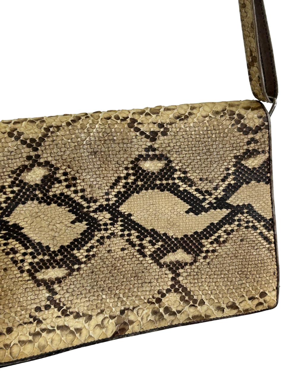 THE SNAKESKIN BAG